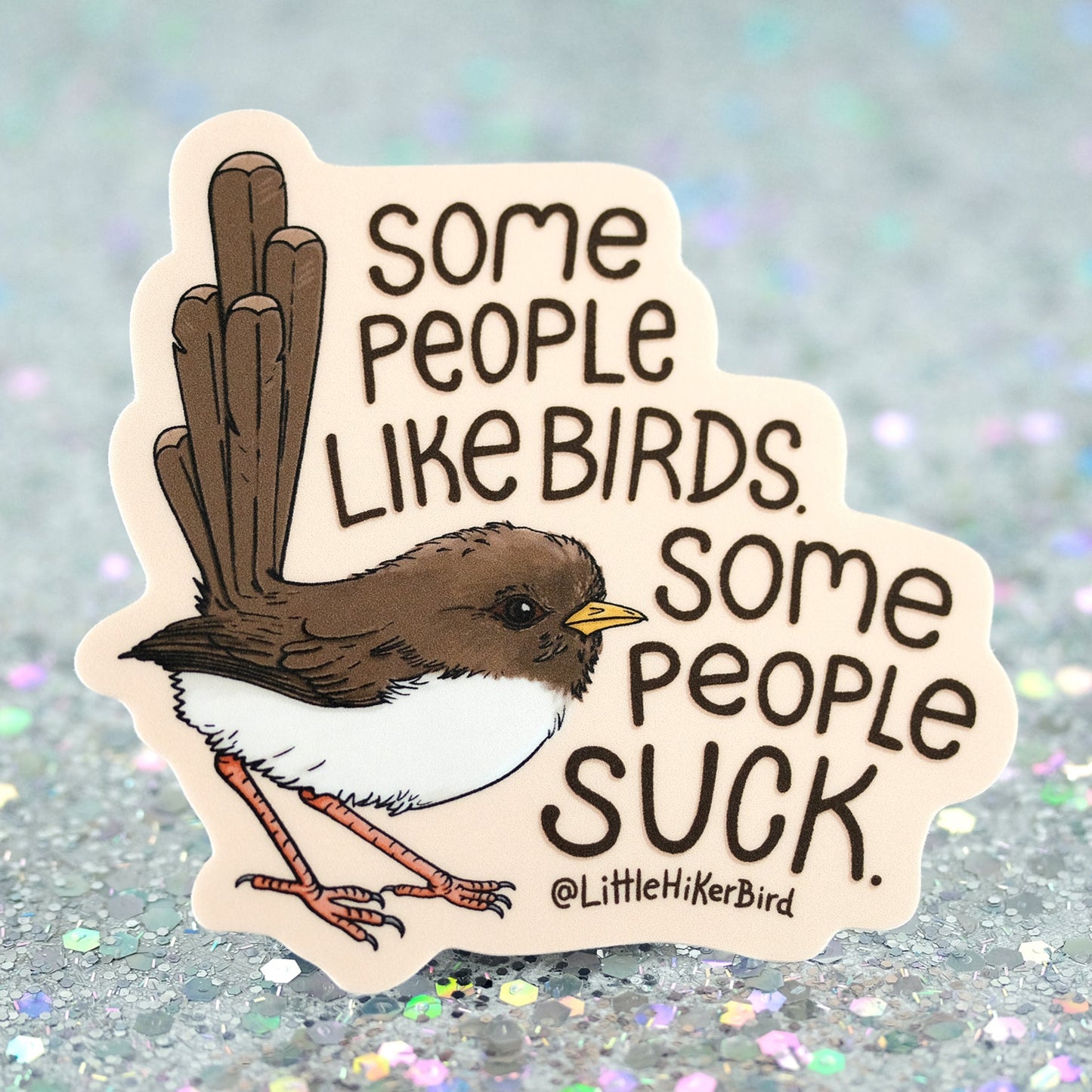 Some People Like Birds - Vinyl Sticker